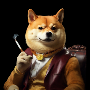 Doge DP (1)